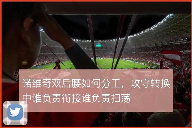 诺维奇双后腰如何分工,攻守转换中谁负责衔接谁负责扫荡