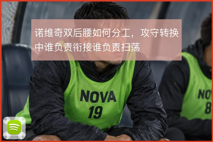 诺维奇双后腰如何分工，攻守转换中谁负责衔接谁负责扫荡